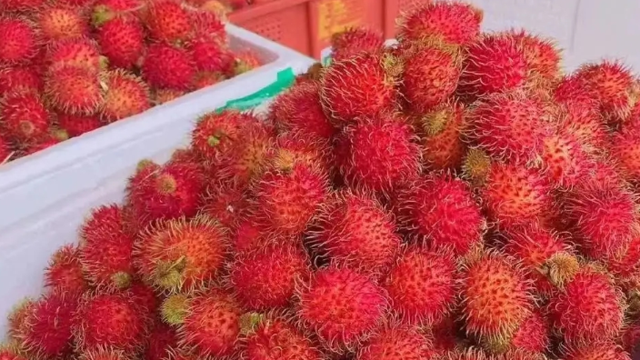 宁波贸易水果进口报关物流,水果进口报关