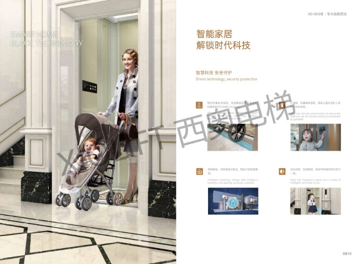 别墅电梯常规尺寸 杭州西权电梯科技供应;