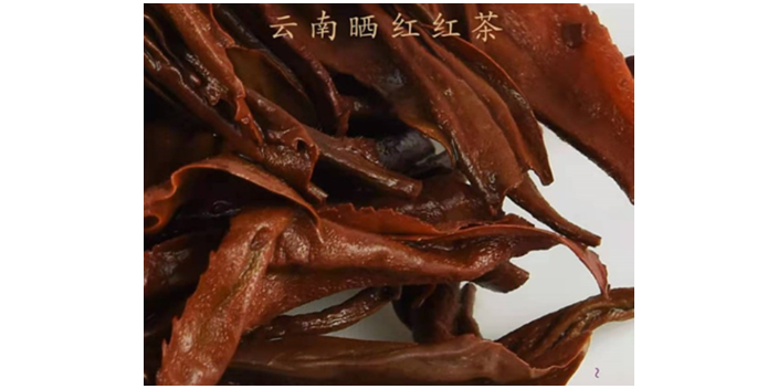 杭州日照红梅批发和零售的价格