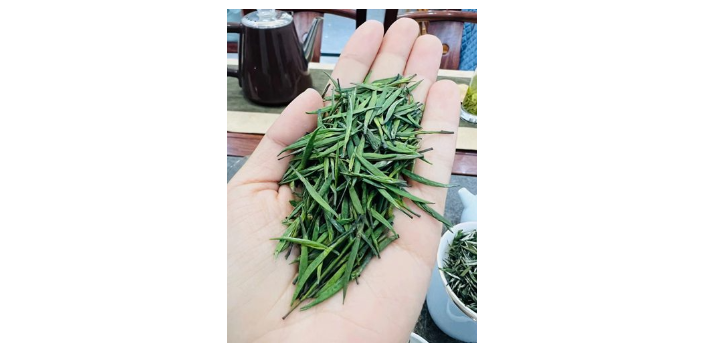 西安桂林毛尖,绿茶