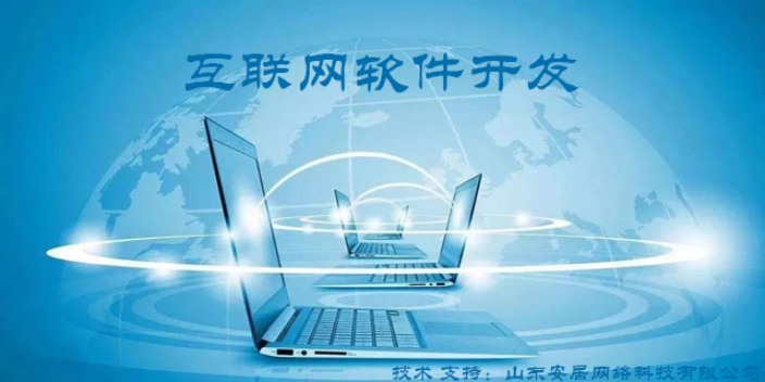 西藏专业软件开发公司,软件开发