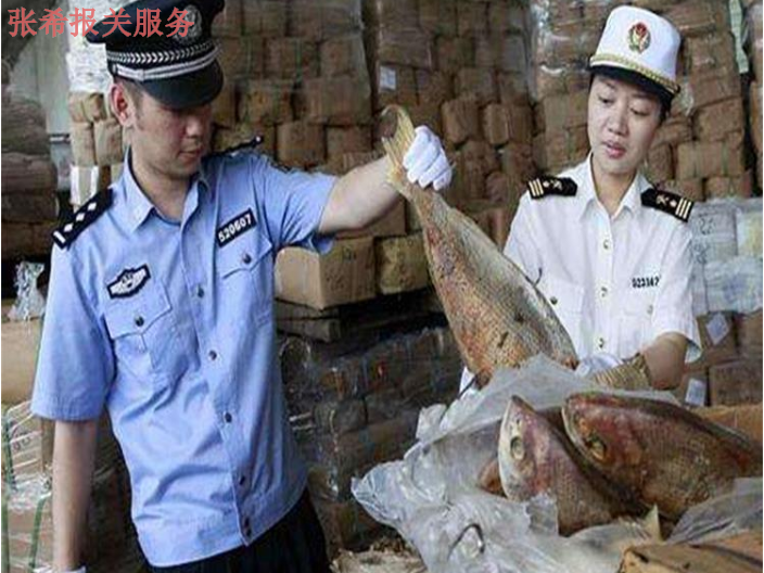 上海代理海鲜进口报关哪家好 客户至上 万享报关供应