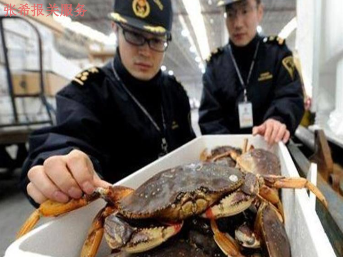 上海贸易海鲜进口报关流程,海鲜进口报关