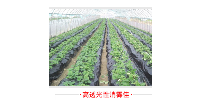 佛山黑色地膜市場價  廣東長腿牛薄膜科技供應