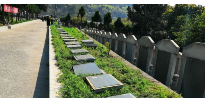 上海附近墓地一般多少钱,墓地