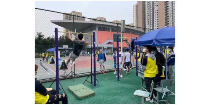 北京中考跳绳是什么 江苏领康电子科技发展供应