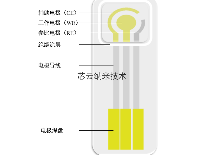 天津石英叉指电极 芯云纳米技术供应
