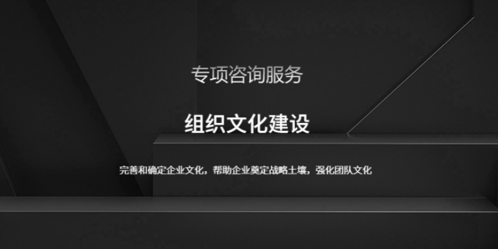 上海大公司组织文化建设模板 欢迎咨询 上海盛榕企业管理咨询供应