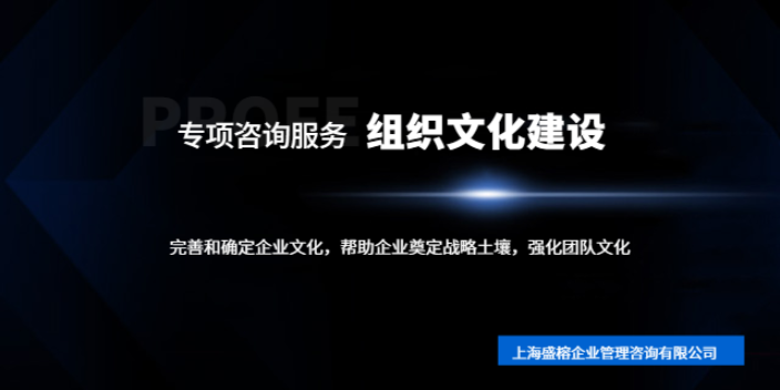 上海中小企业组织文化建设公司哪家好 欢迎咨询 上海盛榕企业管理咨询供应