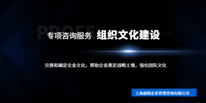上海初創(chuàng)公司組織文化建設(shè)咨詢 和諧共贏 上海盛榕企業(yè)管理咨詢供應(yīng)