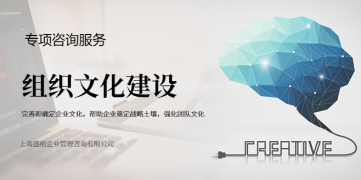 上海创业公司组织文化建设服务 和谐共赢 上海盛榕企业管理咨询供应