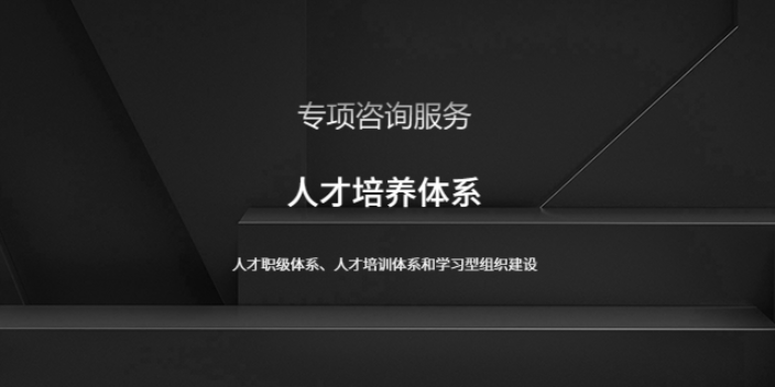 上海管理人才培养体系 来电咨询 上海盛榕企业管理咨询供应