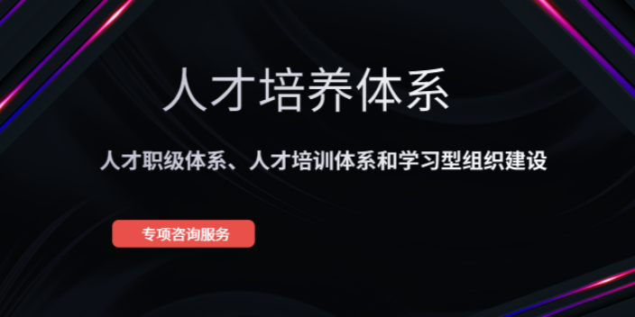 上海技术人才培养体系 推荐咨询 上海盛榕企业管理咨询供应