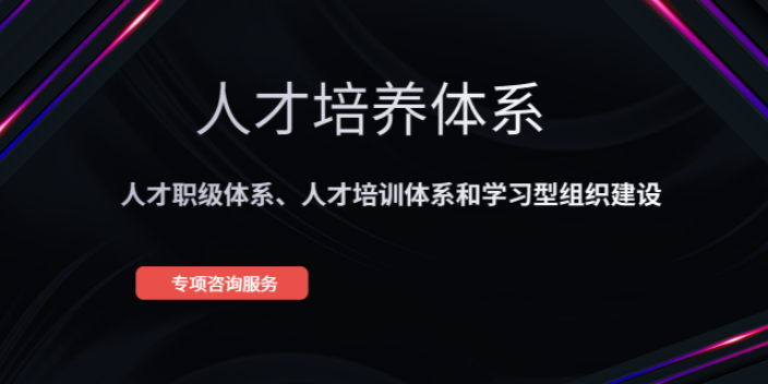 上海财务管理人才培养体系 欢迎咨询 上海盛榕企业管理咨询供应;