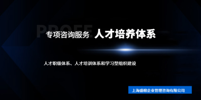 上海人才培养体系案例 来电咨询 上海盛榕企业管理咨询供应