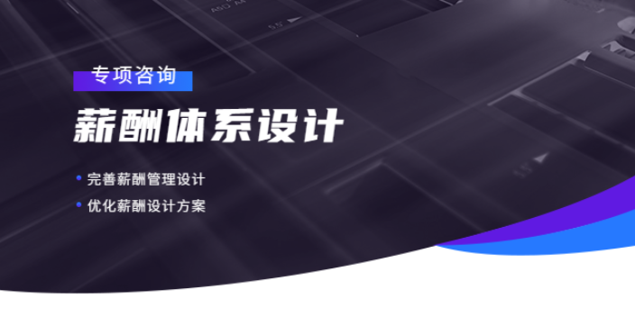上海薪酬体系设计内容 欢迎来电 上海盛榕企业管理咨询供应
