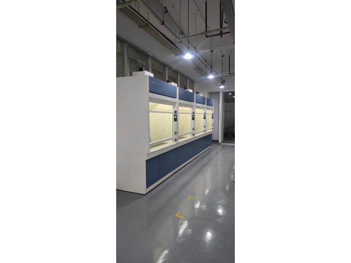 杭州实验室通风橱厂家供应 杭州赛恩斯实验设备供应
