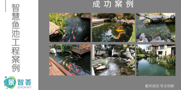 四川锦鲤池过滤系统设计