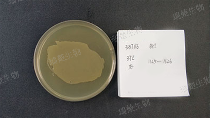 麦康凯琼脂(MacC)预装培养皿 来电咨询 上海市瑞楚生物科技供应