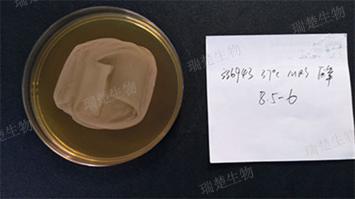 TSA0.25%青霉素酶预装培养皿 诚信为本 上海市瑞楚生物科技供应