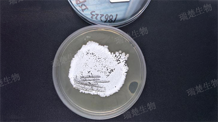 甘油天门冬素琼脂预装培养皿 信息推荐 上海市瑞楚生物科技供应