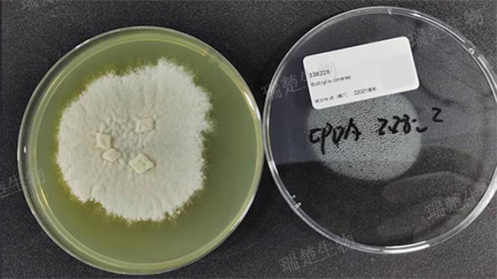 去氧胆酸盐柠檬酸盐琼脂预装培养皿 诚信服务 上海市瑞楚生物科技供应