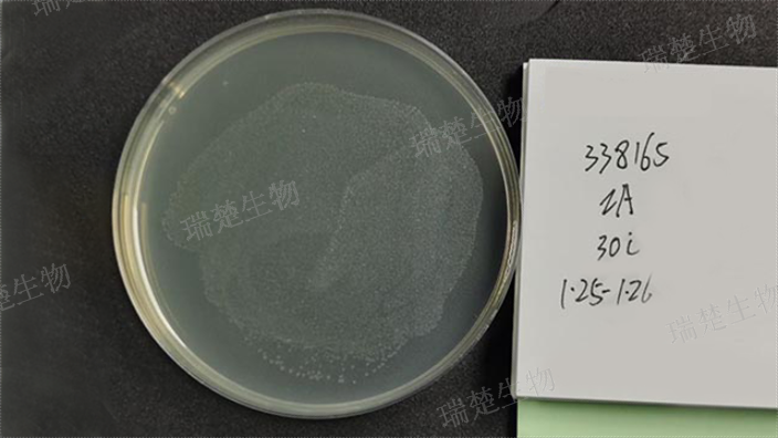 霉菌琼脂培养皿 信息推荐 上海市瑞楚生物科技供应