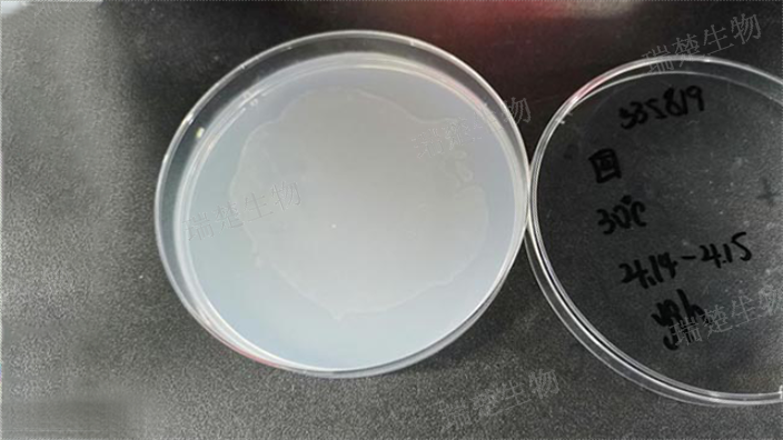 AN厌氧琼脂平板 客户至上 上海市瑞楚生物科技供应