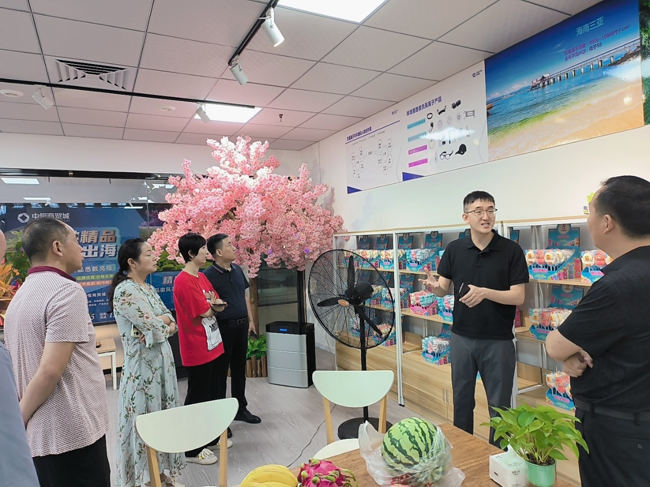 負(fù)離子3.png 負(fù)離子3.png