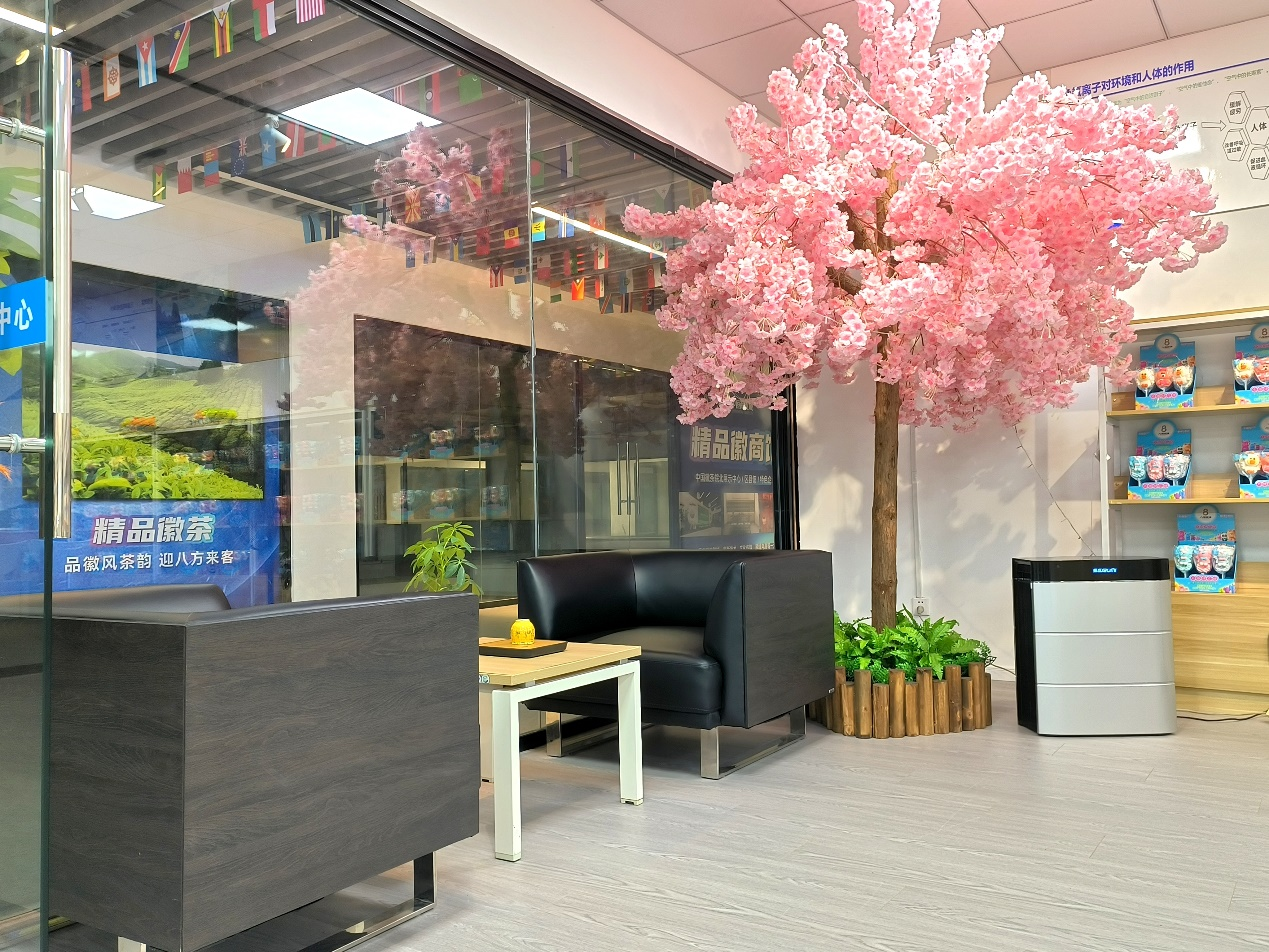 負(fù)離子4.png 負(fù)離子4.png