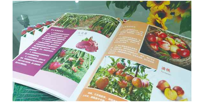 盐山印刷包装沧州广告公司一站式服务 沧州市方正广告传媒供应