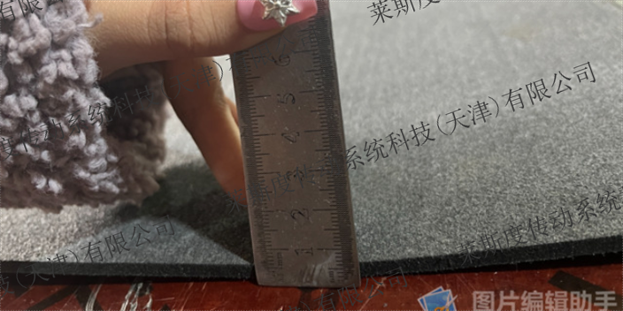 广东爱玛皮革排版机毛毡垫市场报价 莱斯度传动系统科技供应