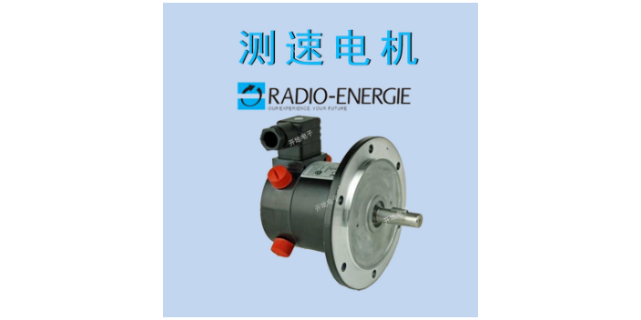 重庆雷恩RADIO测速电机RE0444NV1B006CA7X30mm