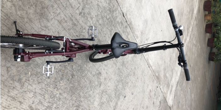 广西小型折叠自行车多少钱一辆,折叠自行车