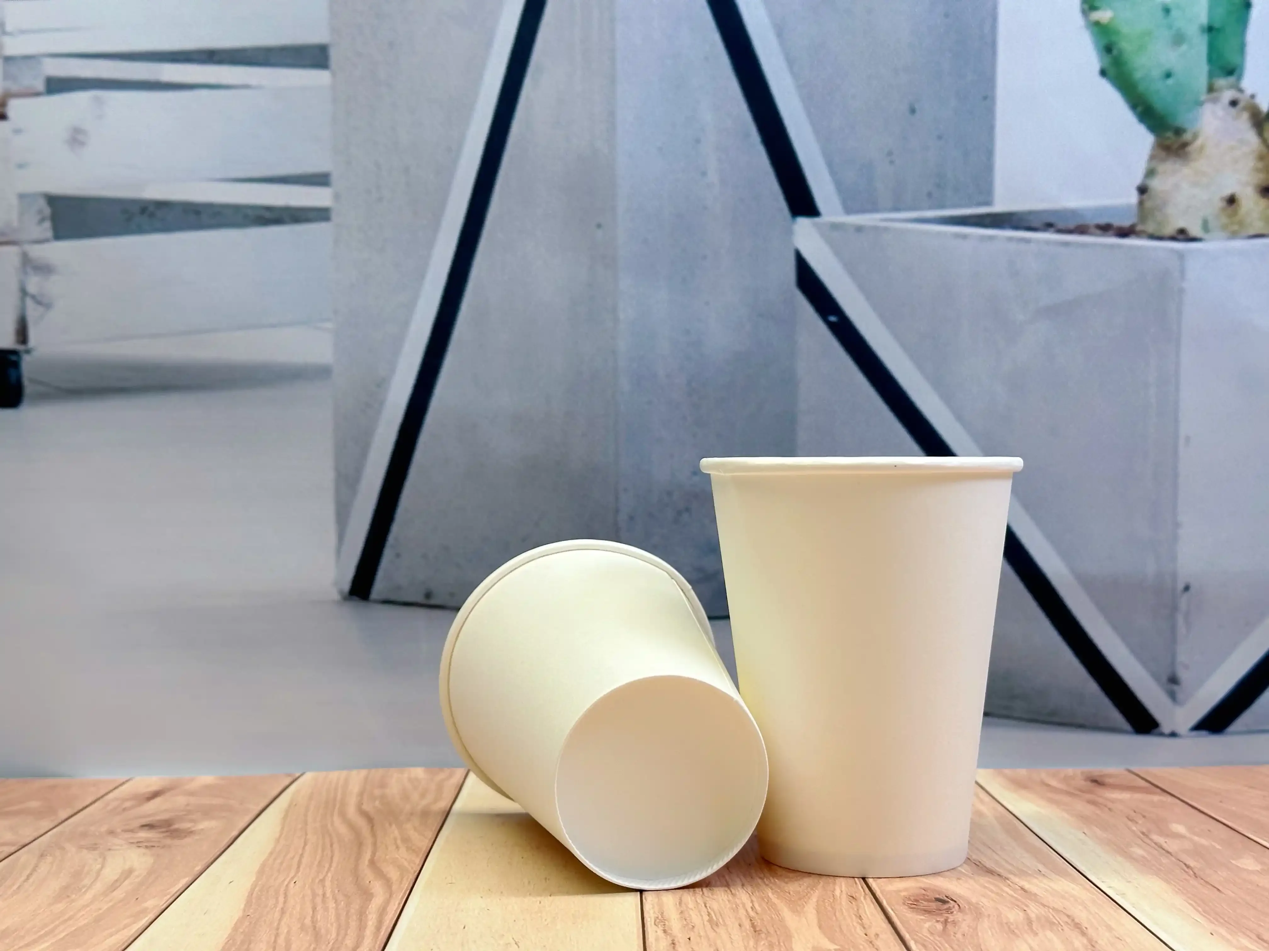 Sustainable EPP PlasticFree Paper Cups SupplierGCOVE