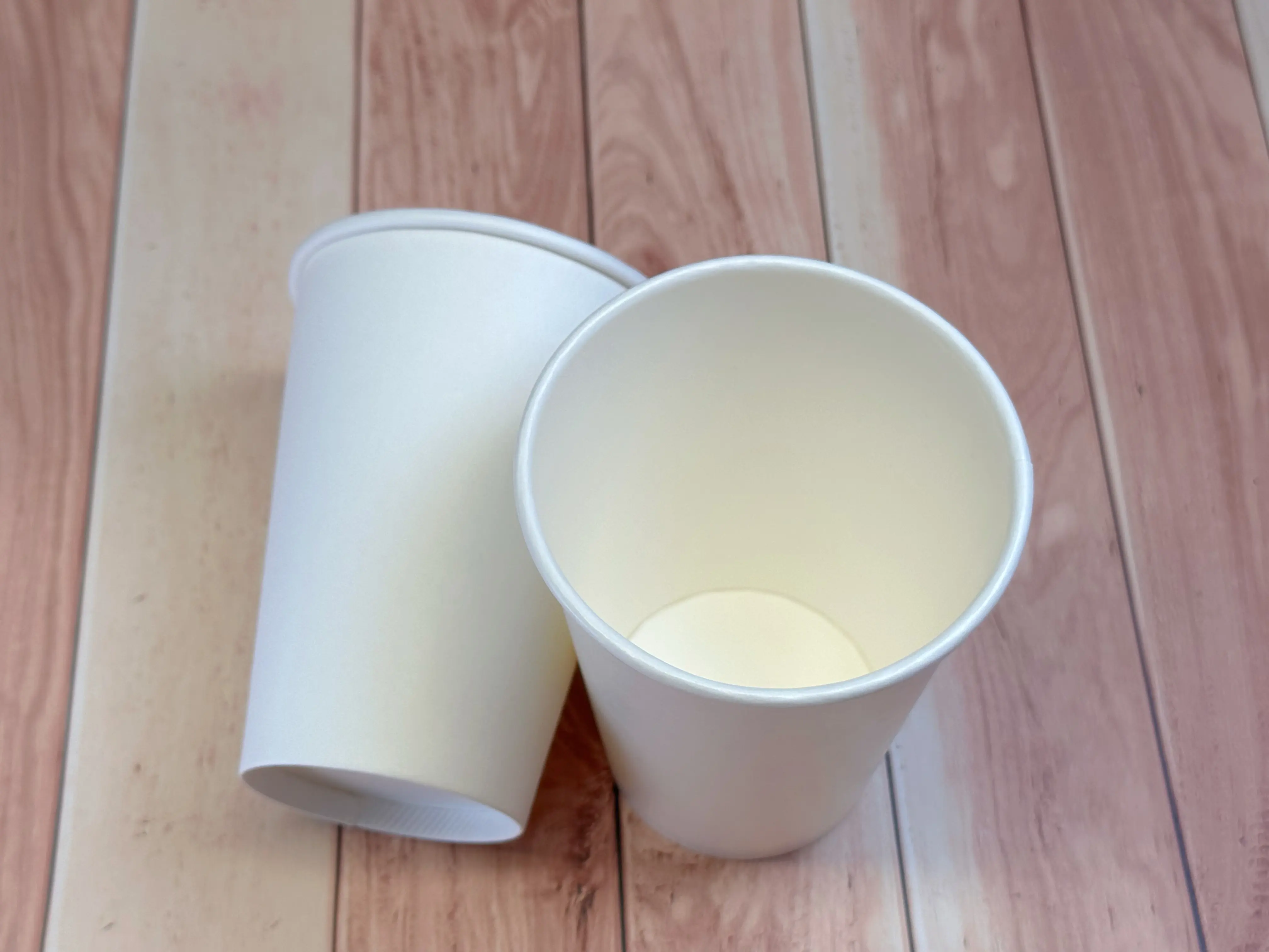 Sustainable EPP PlasticFree Paper Cups SupplierGCOVE