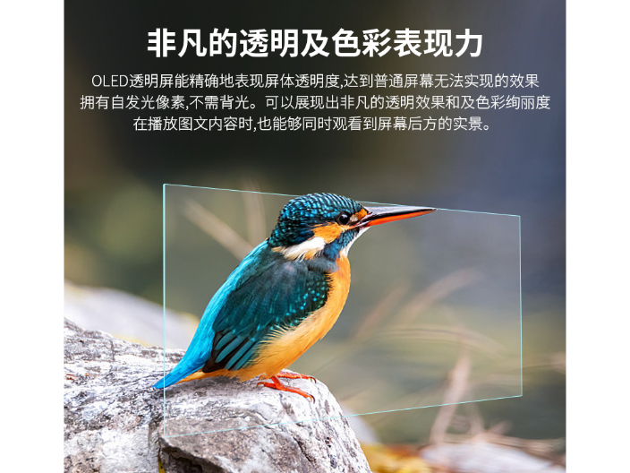 上海30寸OLED透明屏,OLED透明屏