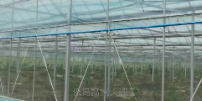 重慶單體溫室大棚