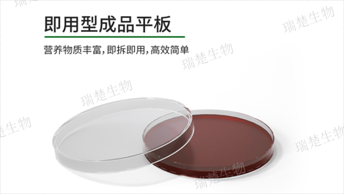 水琼脂预装培养皿 服务为先 上海市瑞楚生物科技供应