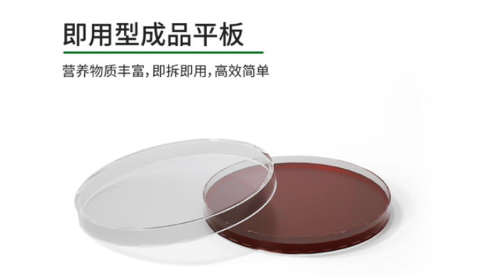 假单胞菌琼脂F培养皿 服务为先 上海市瑞楚生物科技供应