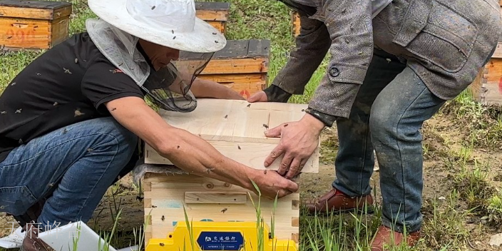 成都物联网养蜂建设方案