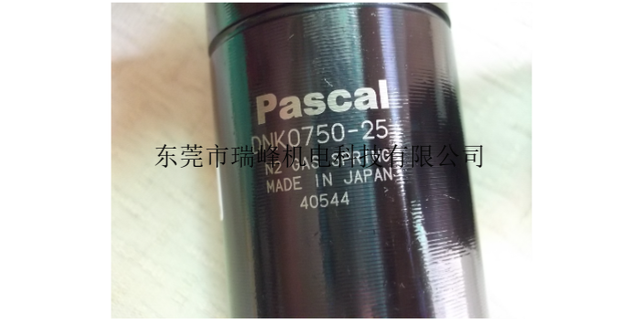 中山PASCALCSS00-L+CSX02-L+CSS04-H+CSX05-L,PASCAL