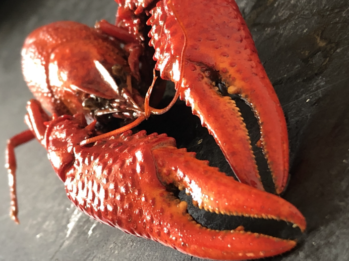 小龍蝦加盟 和諧共贏 臺(tái)州憶口香餐飲管理供應(yīng)