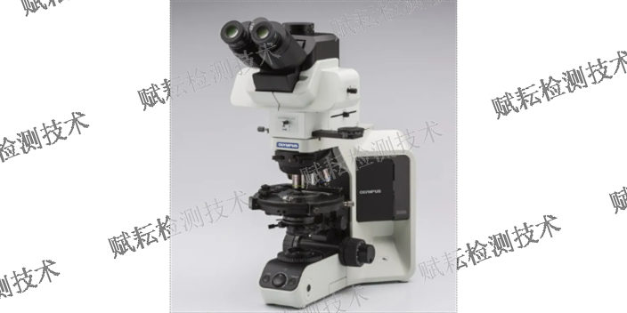 上海SEM金相显微镜什么品牌性价比高 和谐共赢 赋耘检测技术供应