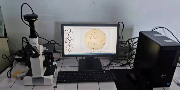 上海反射正置金相顯微鏡怎么選擇 歡迎咨詢 賦耘檢測技術供應