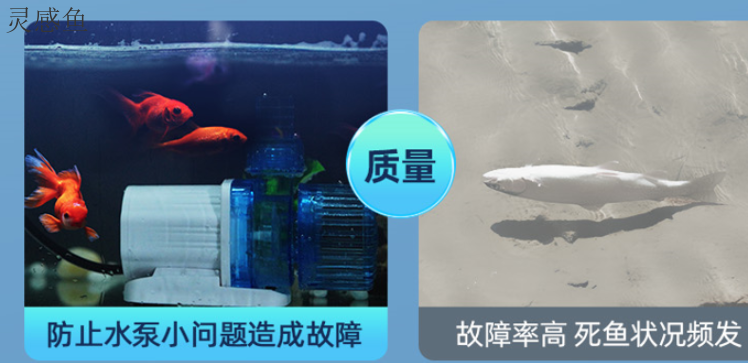 珠海鱼缸水泵操作,鱼缸水泵