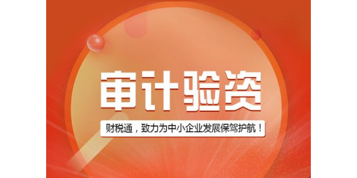南京智能审计报告业务执行标准