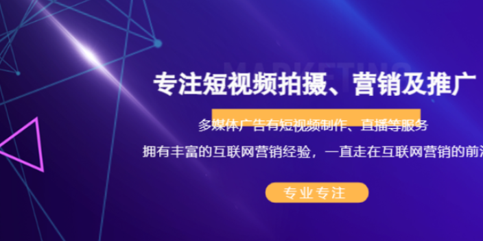 济南智能官网制作运营 服务为先 易畅通信息科技供应