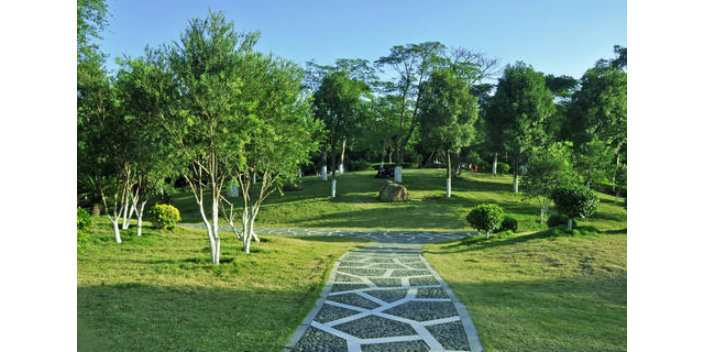 湖州厂区绿植租赁哪家好,绿植租赁