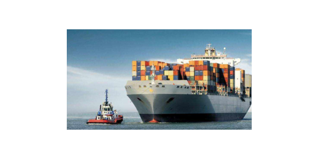 徐汇区要求国际货物运输代理总结